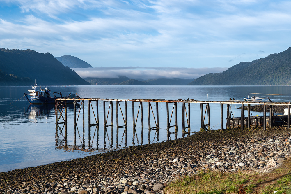 Die Geier warten schon