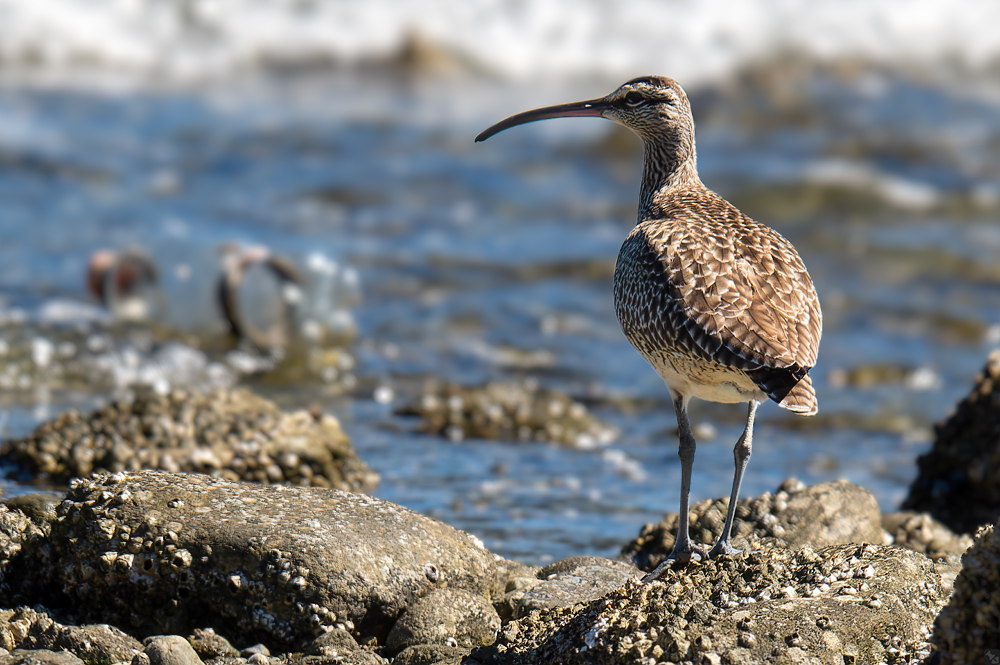 Doch nicht ganz umsonst...