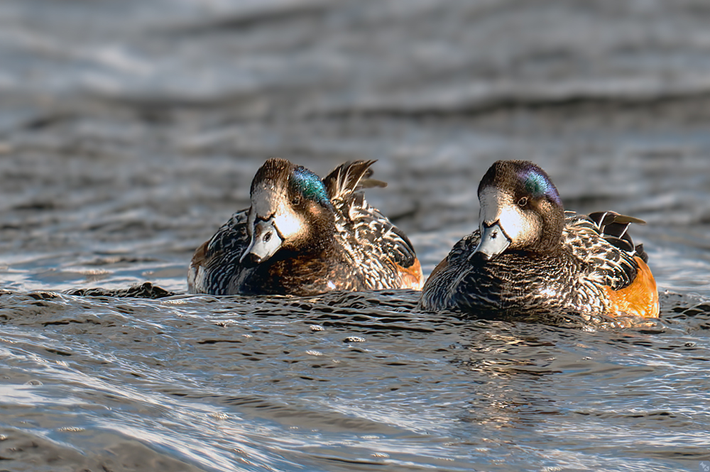 Nur der Vollständigkeit halber!