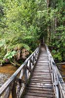 Auf dem Holzweg  Das mit dem 'Stapfen' ist wörtlich zu nehmen, denn das ständige Auf und Ab zehrt an den Kräften und von den Nasenfröschen hat sich natürlich auch keiner gezeigt :-/. Stand auf dem Schild am Parkplatz noch etwas von 2½ Std. Wegdauer, sind wir jetzt seit mindestens 3½ Stunden unterwegs und fragen uns, ob wir die Angabe von 2500 mts nicht falsch interpretiert haben und das von uns als "Meter" gelesene "mts" nicht in Wirklichkeit "Meilen" bedeutet...?