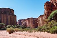 Geschichtsträchtig  Weiter geht es zwischen die bis zu 200 m hohen Wände des Talampaya Canyons. Angesichts der Größe und Zugänglichkeit kann man sich gut vorstellen, dass diese Formationen der Wunschtraum eines jeden Geologen und Paläontologen sind. Die gewaltigen Sedimente wurden vor 250 bis 200 Mio. Jahren abgelagert und haben die gesamte Erdgeschichte dieser Spanne in Form von Fossilien hier konserviert. Die Evolution der Wirbeltierfauna läßt sich so wie auf einer Zeittafel über den ältesten Zeitraum des Erdmittelalters nachvollziehen.