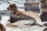 Noch 'ne Sphinx,...  ...oder ein Wauwi? Langsam füllt sich der Bereich um den Parkplatz, inzwischen stehen schon fünf Autos dort, darunter auch Fahrzeuge kommerzieller Anbieter. Auch das junge Paar, mit dem wir uns gestern nachmittag noch im Shincal de Quimivil über unseren geplanten Besuch hier unterhalten hatten, kommt uns grüßend entgegen. Offensichtlich aufgrund unserer Erzählungen haben sie sich kurzfristig entschlossen, von Belén aus den Ausflug zum Campo de Piedra Pomez zu buchen. Eine Entscheidung, die sie definitiv nicht bereuen.