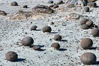 Steinpilze  Okay, so ganz unzerstörbar sind die Steinkugeln offensichtlich doch nicht. Es dürften, wie bei anderen kristallin aufgebauten Strukturen, starke Temperaturschwankungen für die glattkantige Aufsprengung einiger Kugeln verantwortlich sein. Wenn die hälftigen Bruchstücke dann auch noch auf einem windgeschützten Sedimentsockel lagern, wächst mit der Zeit etwas heran, was die Bezeichnung "Steinpilz" zwangsläufig nahelegt.