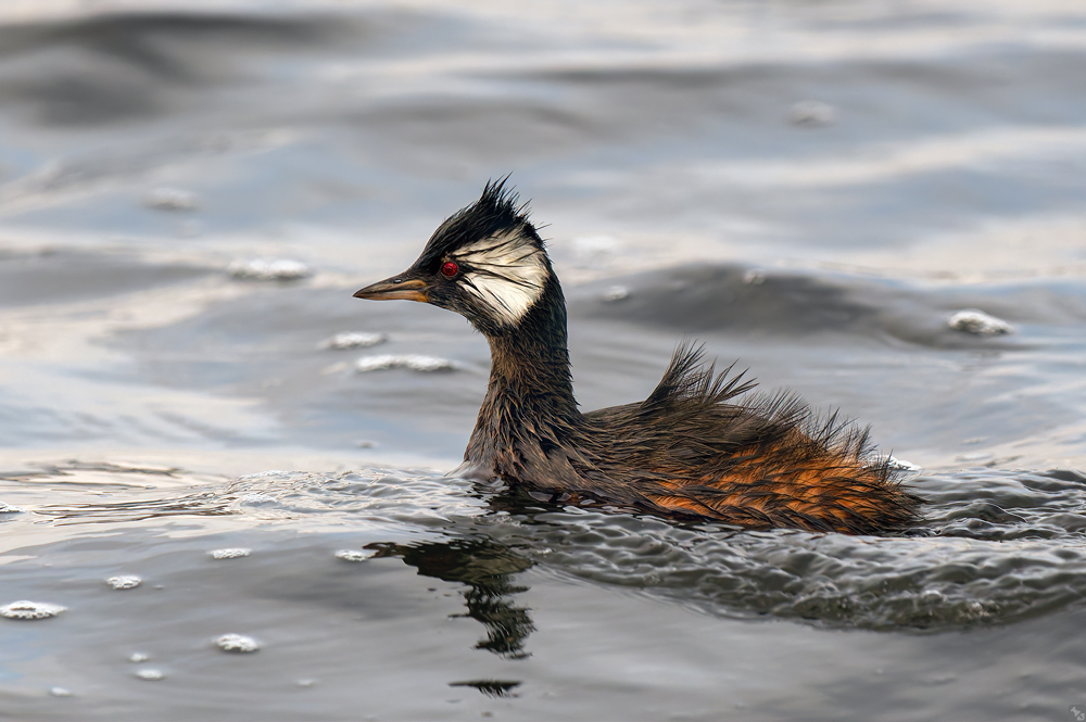 Zielstrebig unterwegs