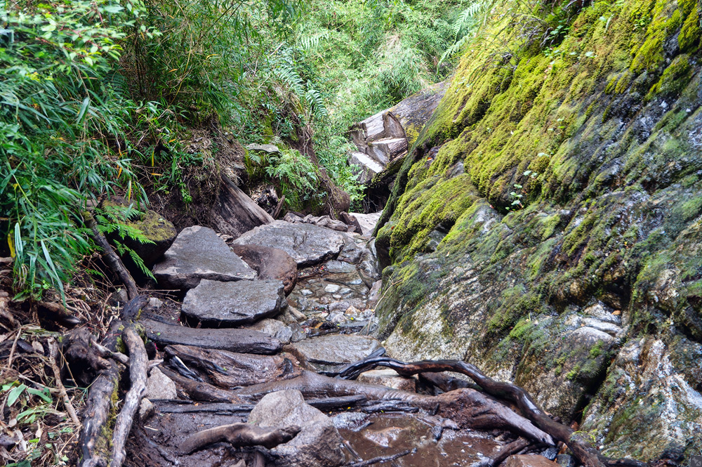 Zwei Fußlahme on tour