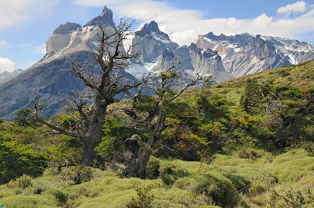 Bitte achten Sie auch auf den Vordergrund!