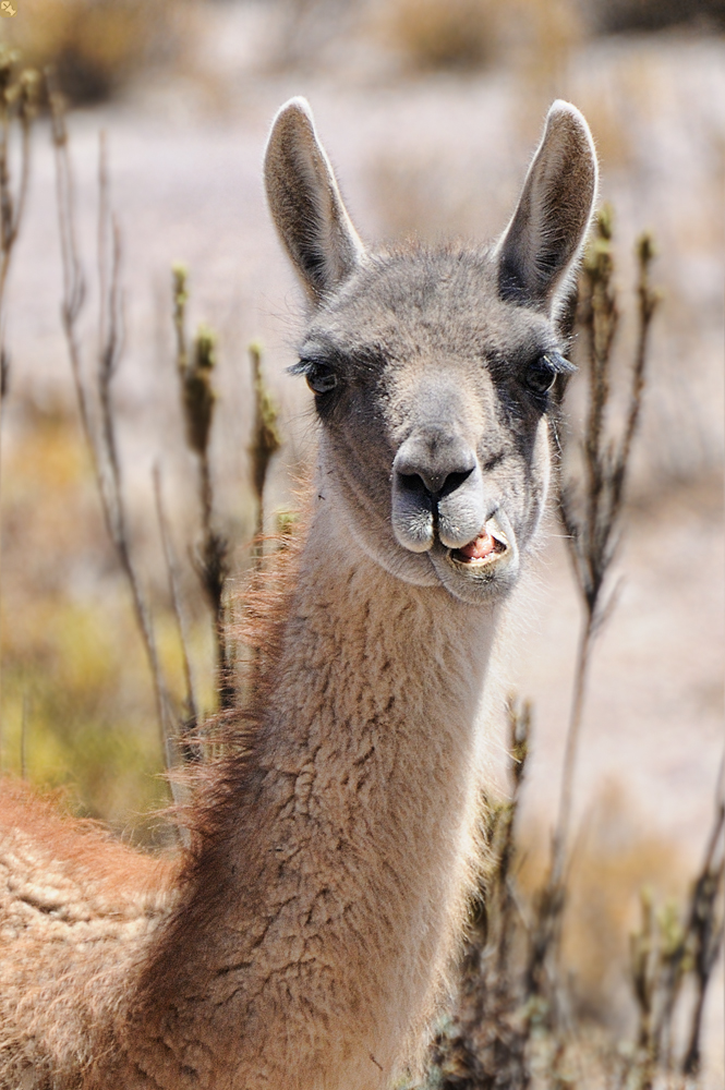 Ein skeptischer Blick...