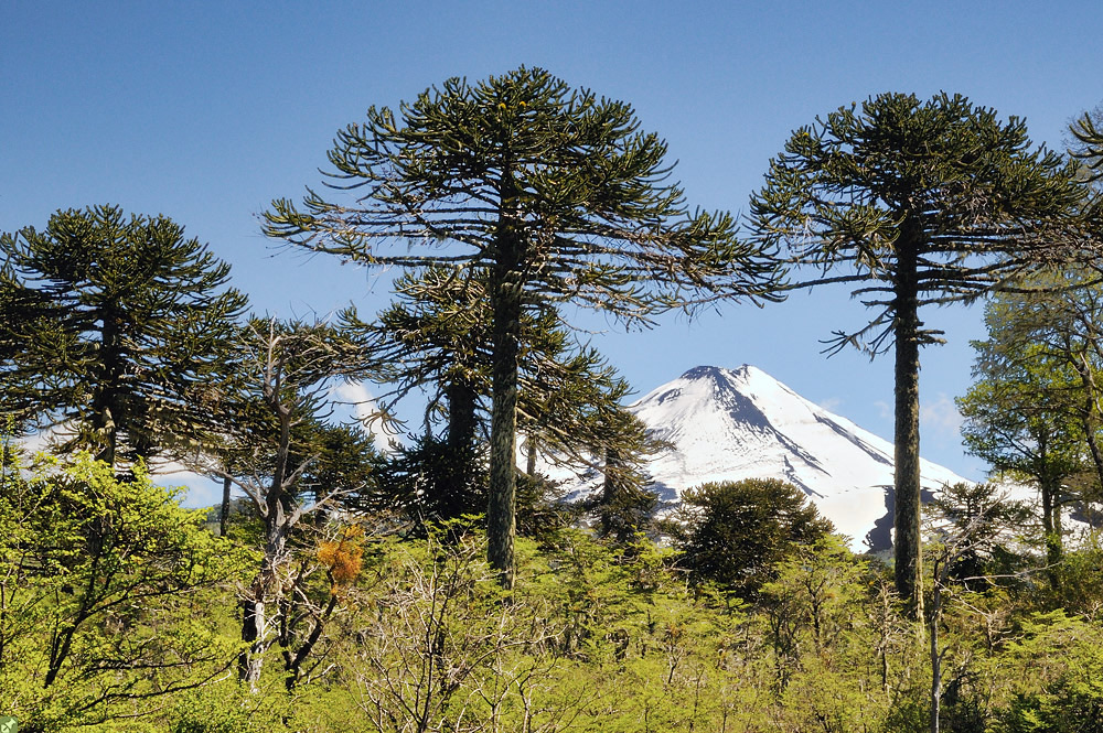 Hier hat's gerumpelt