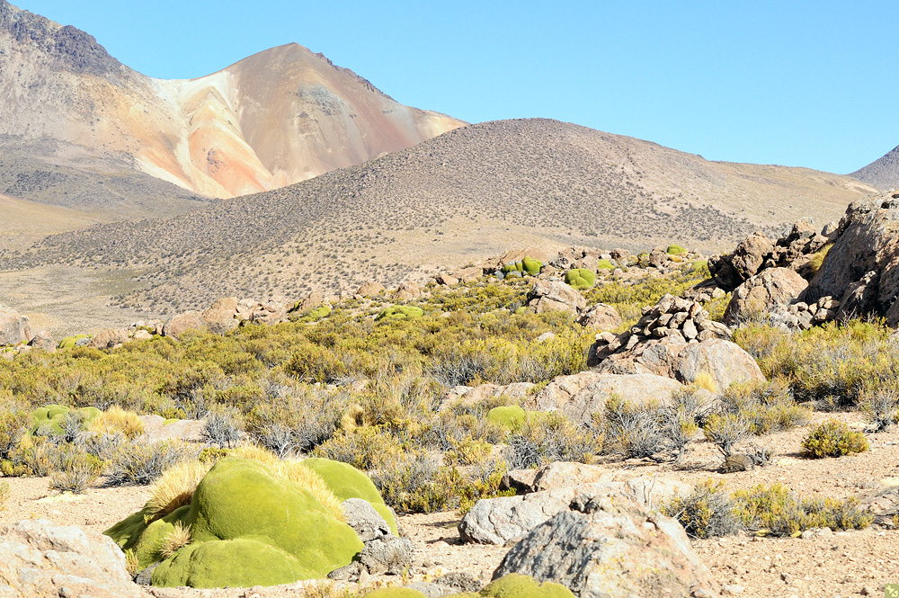 Kurz VOR dem Höhepunkt ;-)