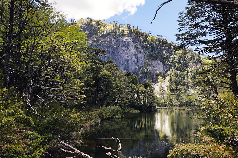 Mit Bambus und Vulkanen