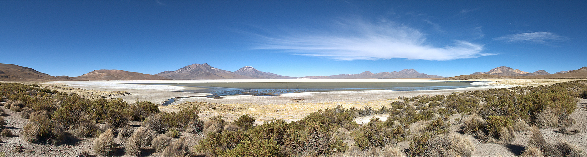 Nur die Flamingos und wir