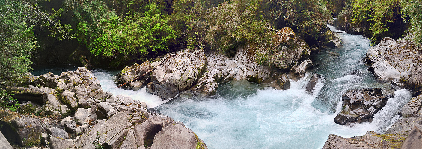 Spaziergang im NP Puyehue