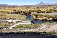 Heute kein Sprit...  Dass es im November (entspricht spätem Frühjahr auf der Südhalbkugel) nachts auf 4000 m empfindlich kalt werden kann, belegen nicht nur die Eisreste an den Wasserläufen, man spürt es auch am eigenen Leib, wenn man sich in Erwartung eines warmen, sonnigen Tages im Altiplano morgens viel zu leicht bekleidet ins Freie begibt. Zumindest ahnt man, warum die in der Ferne grasenden Lamas und Alpakas so herrliche Wollpullis tragen. Hier, in der Nähe zu Colchane, einer Ansammlung einiger trister Häuser und zweier Hotels – und ein heißer Favorit für einen der vorderen Plätze in der Chartlist "Öde Orte" – sind wir in unmittelbarer Nähe zu Bolivien, die Berge am Horizont gehören schon nicht mehr zu Chile.   Eine wichtige Warnung: Entgegen anderslautender Auskünfte von Reiseführern und heiligen Schwüren von Einheimischen in entfernteren Orten gibt es in Colchane KEINEN Sprit! Man ist also gut beraten, sich vom Autovermieter nicht abwimmeln zu lassen, wenn man bei der Übergabe auf einem Reservekanister besteht. Wir ließen uns bequatschen und vertrauten auf den versprochenen 80 Ltr.-Tank – es waren nur 60 Ltr.... Da man in der Regel mit Mietwagen nicht über die Grenze darf, hilft es einem auch nicht viel, dass sich auf der bolivianischen Seite eine Tankstelle befindet. Glücklicherweise erbot sich die Schwägerin des Hoteliers, uns am nächsten Tag 40 Ltr. aus Bolivien zu holen. Ohne diese Hilfe hätten wir ziemlich alt ausgesehen und wir können uns glücklich schätzen, nur einen Urlaubstag lang beeinträchtigt gewesen zu sein.