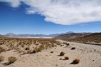 Nur 5 Kilometer...  ...von ca. 200 sind es noch zum Salar de Surire. 200 Kilometer, die sich eigentlich erst in der Erinnerung zu den eindrücklichsten Erlebnissen unseres Lebens formen. Während einer solchen Reise in ferne Regionen, neugierig auf alles Neue, wird man oft schier überwältigt von den vielfältigen Eindrücken, so dass eine Würdigung der einzelnen Erlebnisse meist erst wieder zu Hause in der Rückschau erfolgt. Und erst später kristallisiert sich dann heraus, zu welchen Situationen die Gedanken besonders gern zurück schweifen.  Dass dies ausgerechnet eine karge Wüstenlandschaft in 4000 m Höhe sein würde, hätte ich mir bei meiner Vorliebe für wasserreiche, grüne Berglandschaften auch nicht träumen lassen ;-)