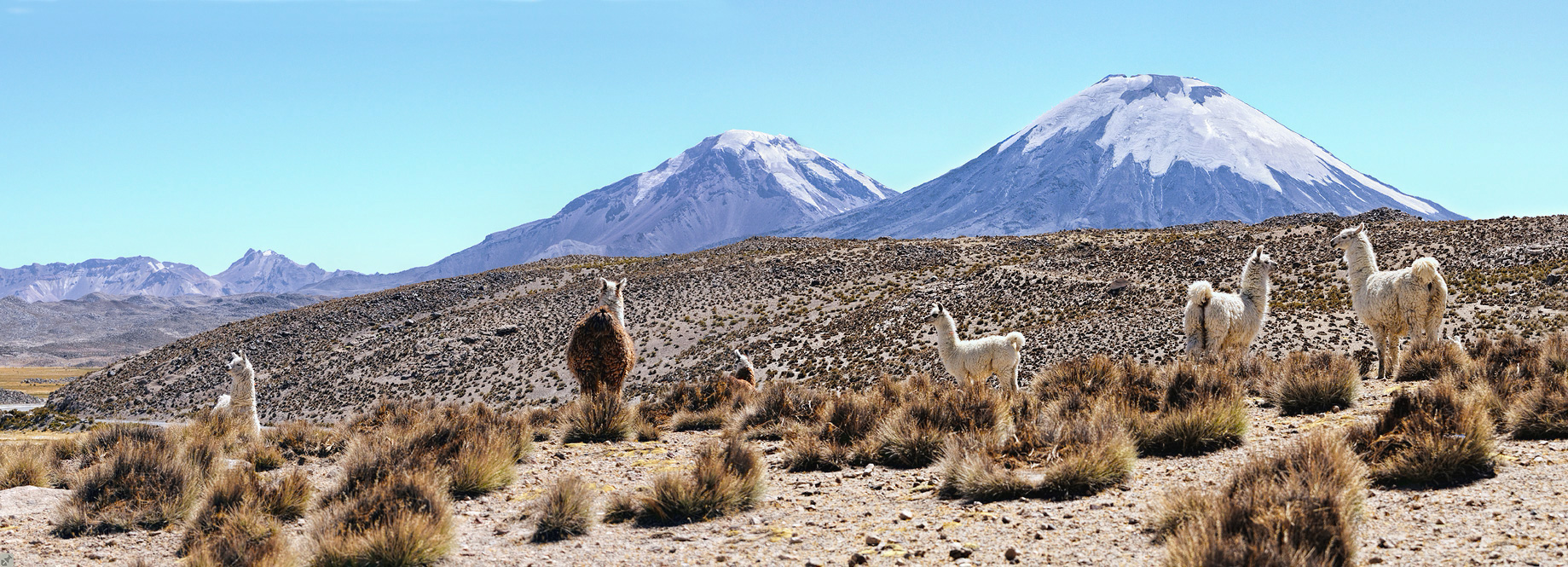 Was für eine Begrüßung!