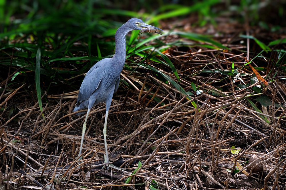 Augen größer als der Magen...
