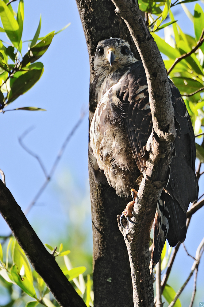 Gerade erst angekommen