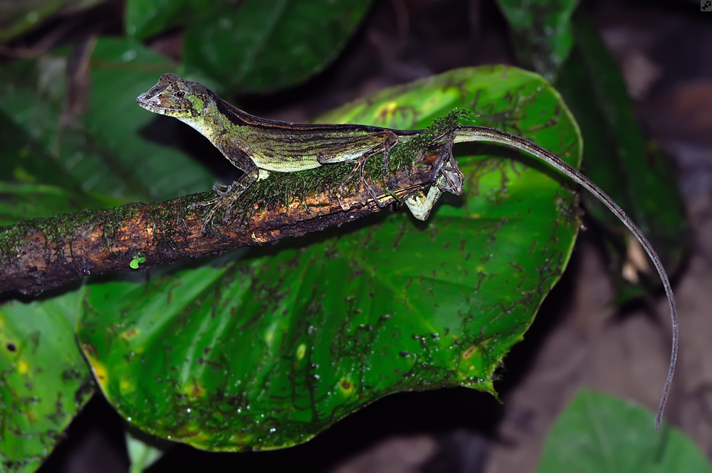 Komplizierter geht nicht