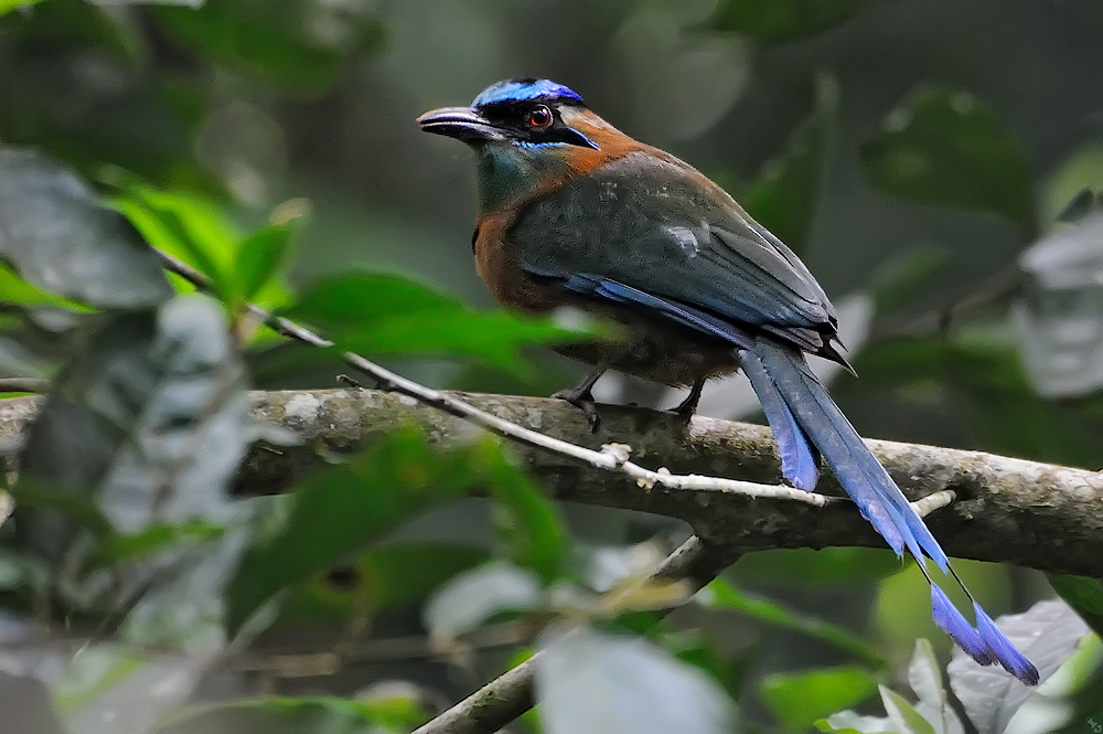 Nicht alles ist planbar