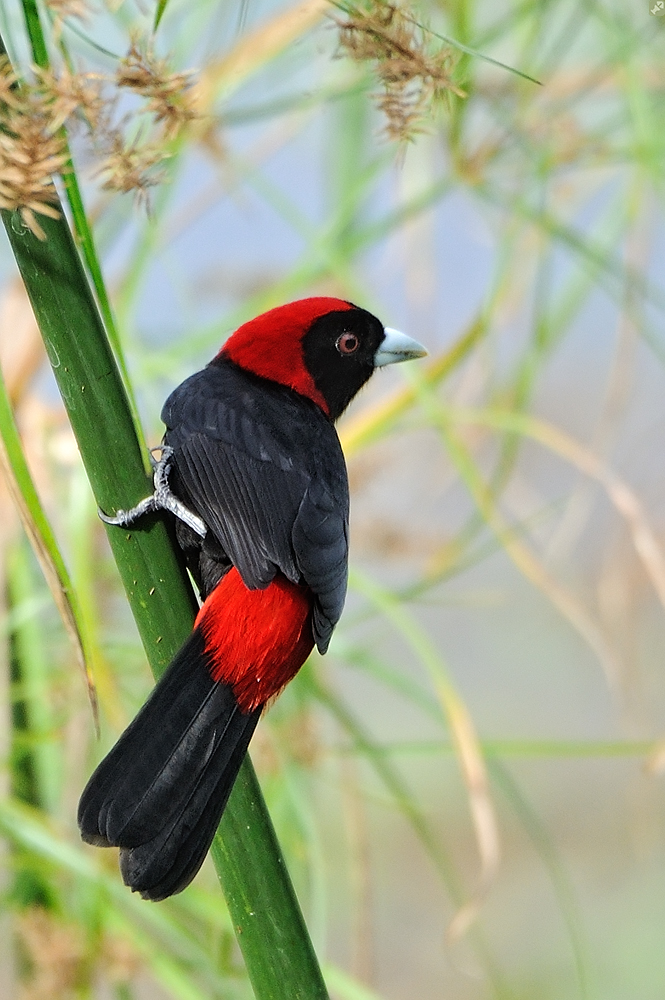 Nicht ganz eindeutig...