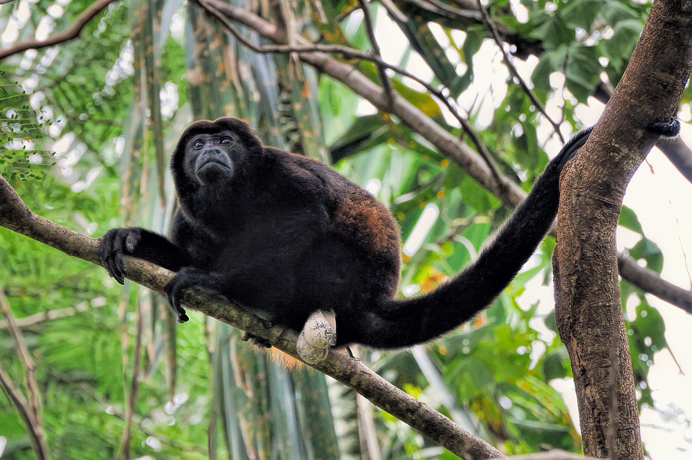 Ostern ist zwar vorbei,...