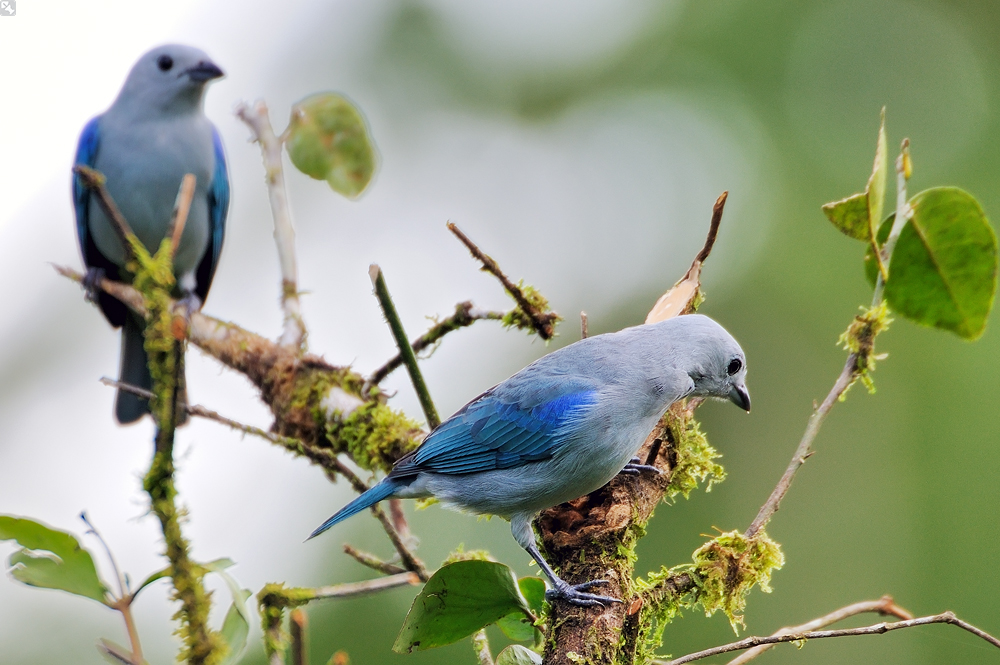 Schlicht, aber hübsch