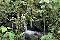 Klimaschock  Dank der auf nur wenige Stunden Flug geschrumpften Reisezeit ist man heute innerhalb von zwei Tagen aus heimatlichen feuchtkalten 2°C im feuchtwarmen Dschungelmilieu mit ca. 25-30° höheren Temperaturen. Trotz des anfänglichen Schocks beim Aussteigen aus dem Flieger, paßt sich unser Körper erstaunlich schnell den neuen Gegebenheiten an und man wundert sich, wieso man mitten im Sommer plötzlich mit Vorweihnachtsdekorationen konfrontiert wird. Bis man einen Moment später selbstbelustigt den Kopf schüttelt, weil man sich eben daran erinnert hat, bereits im November zu sein...  2008