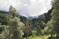 Savegre-Tal  Zwischen Cartago und San Isidro de El General windet sich die Carretera Interamericana durch das costaricanische Hochland der Talamanca Berge und erreicht am Cerro de la Muerte mit ca. 3300 Metern die höchste Stelle der gesamten Straße. Ganz in der Nähe zweigt auf 3000 m eine steile Serpentinenstrasse von der Panamericana Richtung Süden ab und erreicht nach knapp 10 km die 800 m tiefer gelegene Ortschaft San Gerardo de Dota und das namensgebende Flüßchen des Tals, den Río Savegre. Auf der ganzen Strecke begleitet einen der dichte und kühle Nebelwald, der typisch ist für die hohen Lagen des Gebirgsrückens. Angesichts der hier herrschenden Temperaturen zwischen 5 und 20°C sollte man nicht glauben, dass man sich nur 10° nördlich des Äquators befindet und im Gegensatz zu den übrigen Lodges und Hotels des Landes haben die meist dünnwandigen Unterkünfte Kamine auf den Zimmern und die Betten sind mit dicken Federdecken ausgestattet, die man nachts auch dringend benötigt.  2013