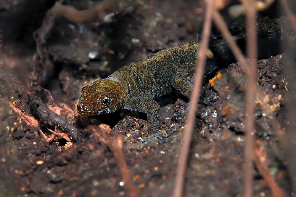 Und noch einen drauf...