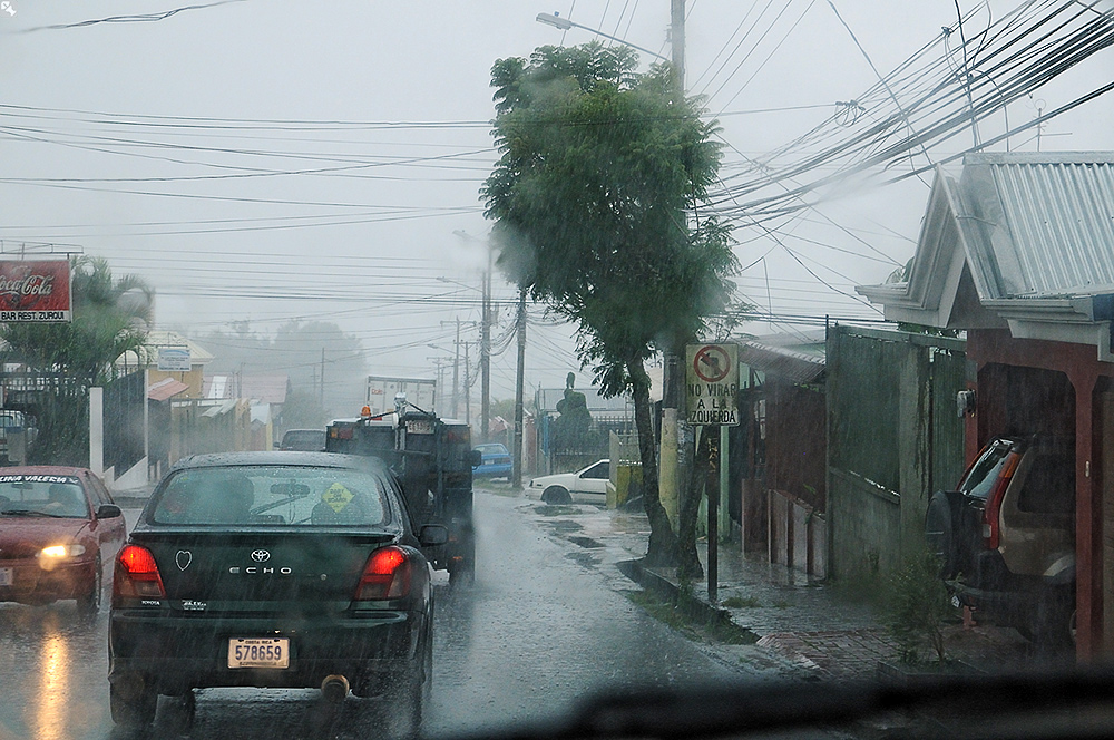 Wenn man mal keine Tiere fotografiert...