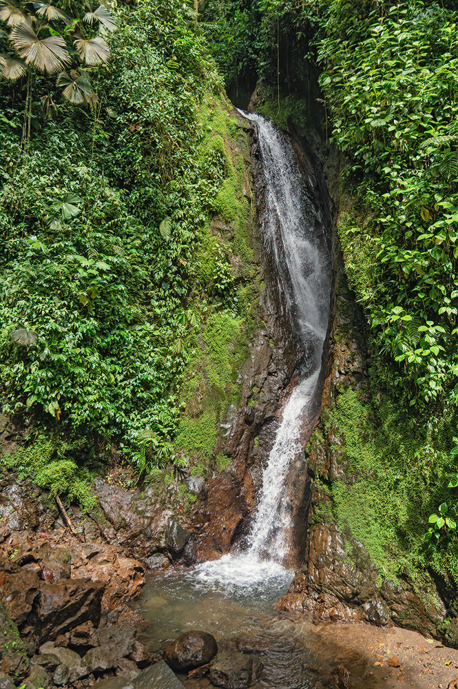 Catarata Morpho Azul