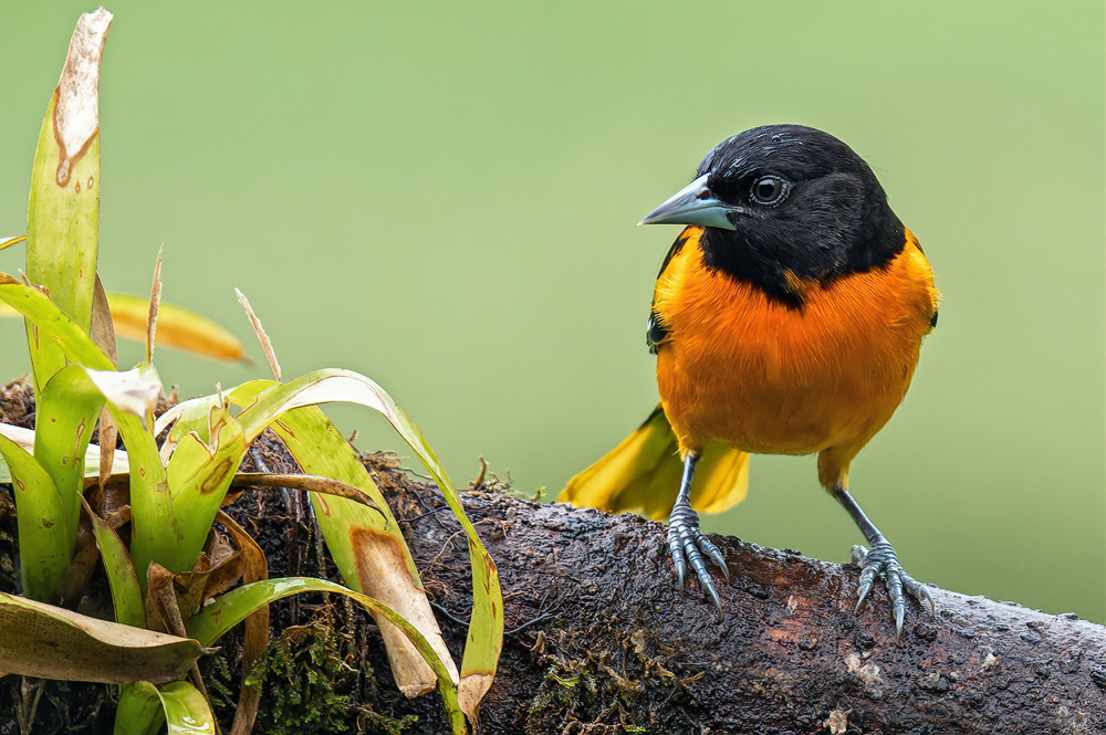 Der Vollständigkeit halber