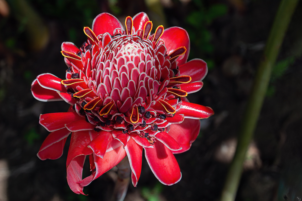 Ein Licht im Dunklen