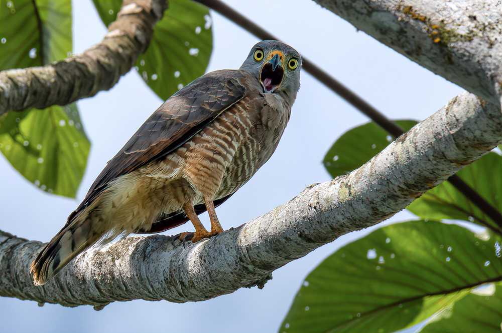 Ist das 'ne Begrüßung?