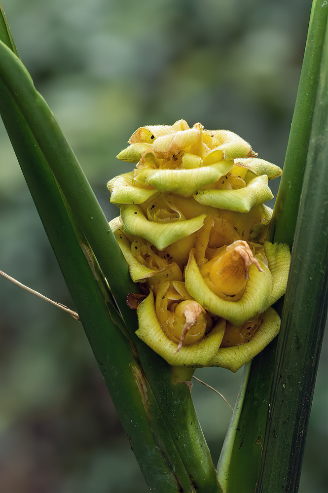 Leider gibt's nichts zu gewinnen