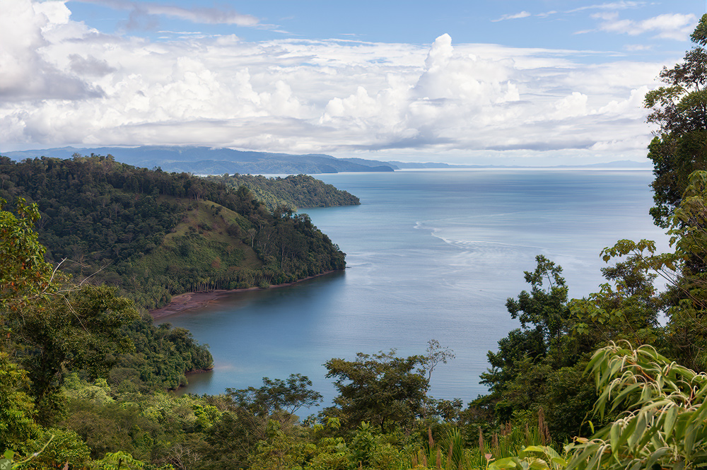 Mirador Golfo Dulce