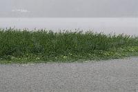 Trübe Aussichten  Dies ist keines von unseren herkömmlichen Alben. Hier wird es kein Reisetagebuch mehr geben, weil es das Publikum, dem wir bisher von unseren Erlebnissen und Erfahrungen berichtet haben, weitgehend nicht mehr gibt. Diejenigen, die sich wirklich interessieren, sind klug genug, Informationen die wir bieten könnten, anderenorts im Netz zu recherchieren, die meisten anderen sind – wie wir in den letzten beiden Jahren schmerzlich erfahren mußten – entweder leseinkompetent, oder mit der Aufnahme mehrerer Sätze hintereinander schlicht überfordert. Es macht uns einfach keinen Spaß mehr, den gleichen 'Mitmenschen', die uns im Alltag verfemen und am liebsten gesellschaftlich ausgrenzen wollen, Geschichten zu erzählen.   In einer von Irrationalismus getriebenen Welt müssen wir täglich erfahren, wie eine verantwortungslose Politik, eine gleichgeschaltete Medienlandschaft, eine infantile Pädagogik und eine untätige Justiz ein ehedem funktionierendes Staatswesen sehenden Auges an die Wand fährt, die Volkswirtschaft ruiniert, offenen Diskurs blockiert, Wissenschaft mißbraucht und mit woker Political Correctness, Genderirrwitz und Ausgrenzung Andersdenkender die Gesellschaft in sich feindselig gegenüberstehende Gruppen spaltet. Nachbarn, die uns vor kurzem noch freundlich grüßten, sind zu Denunzianten mutiert, die uns beschuldigen, an ihrer eigenen Unmündigkeit schuld zu sein; ehemalige 'Freunde' werden aus intellektueller Überforderung aggressiv und drohen, körperlich übergriffig zu werden! "Wenn ihr euch fragt, wie das damals passieren konnte: weil sie damals so waren, wie ihr heute seid." (Henryk M. Broder)