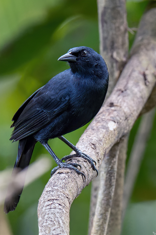 Verborgene Schönheit