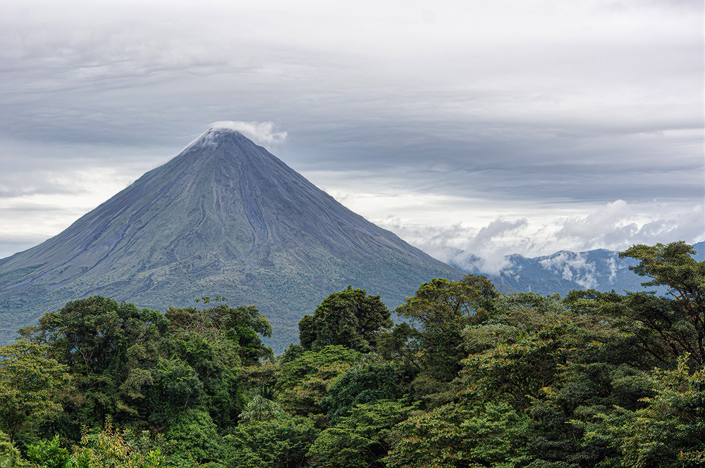 Wir haben ihn gesehen!