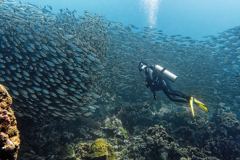 Ein denkwürdiges Erlebnis