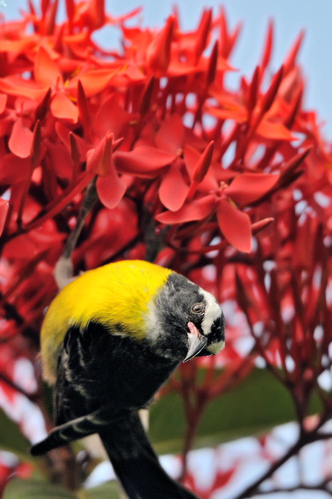 Immer mal nachschauen...