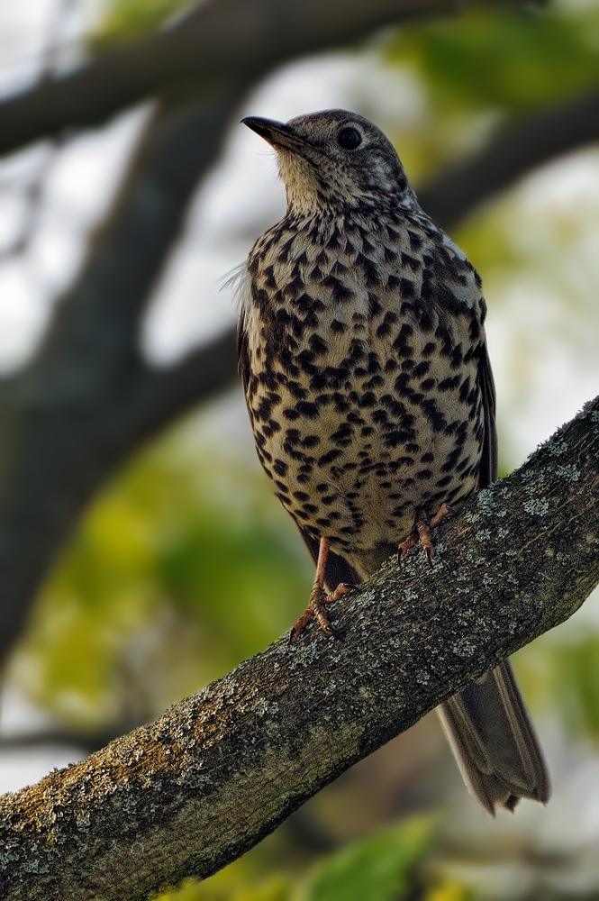 Eine ganz profane...