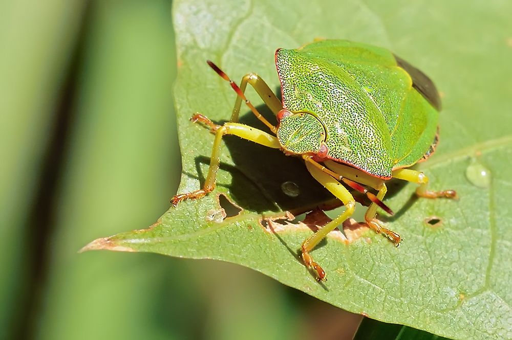 Morgens, halb zehn in Deutschland...