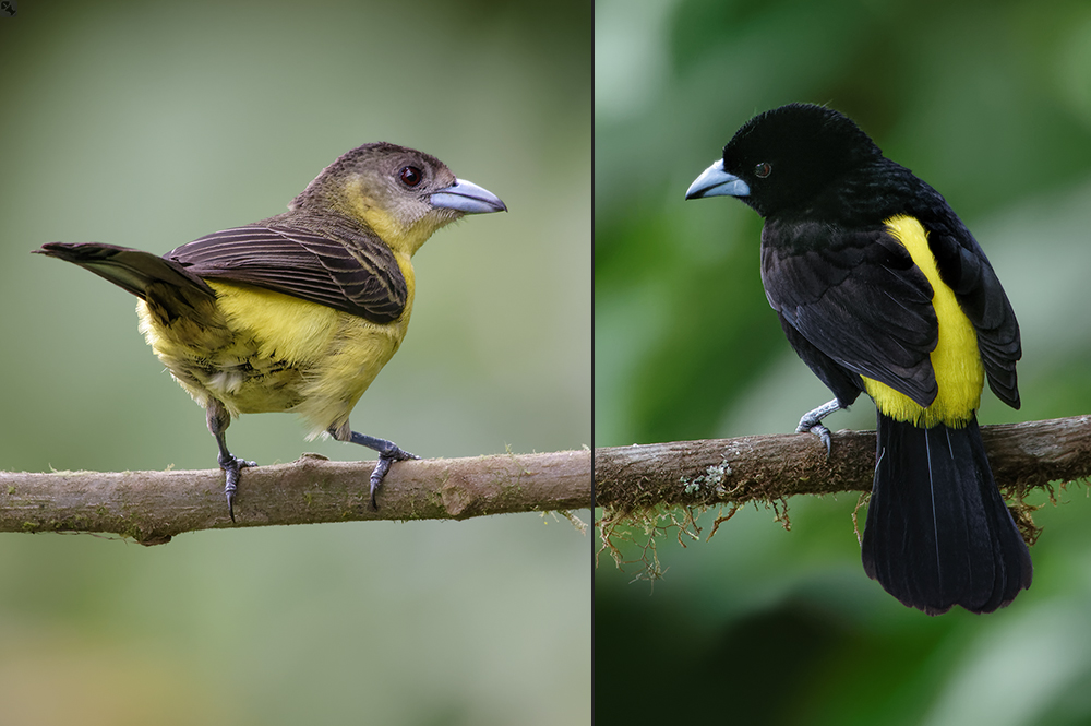 Als Ehepaar läßt grüßen...