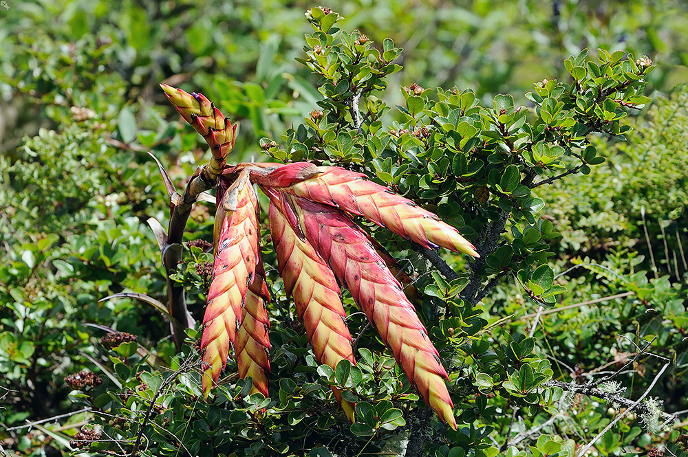 Auf dem Rand der Caldera