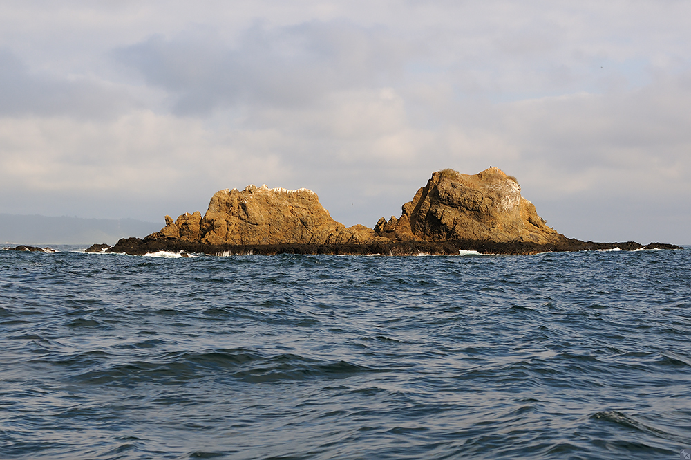 Felsen vor Isla Salango