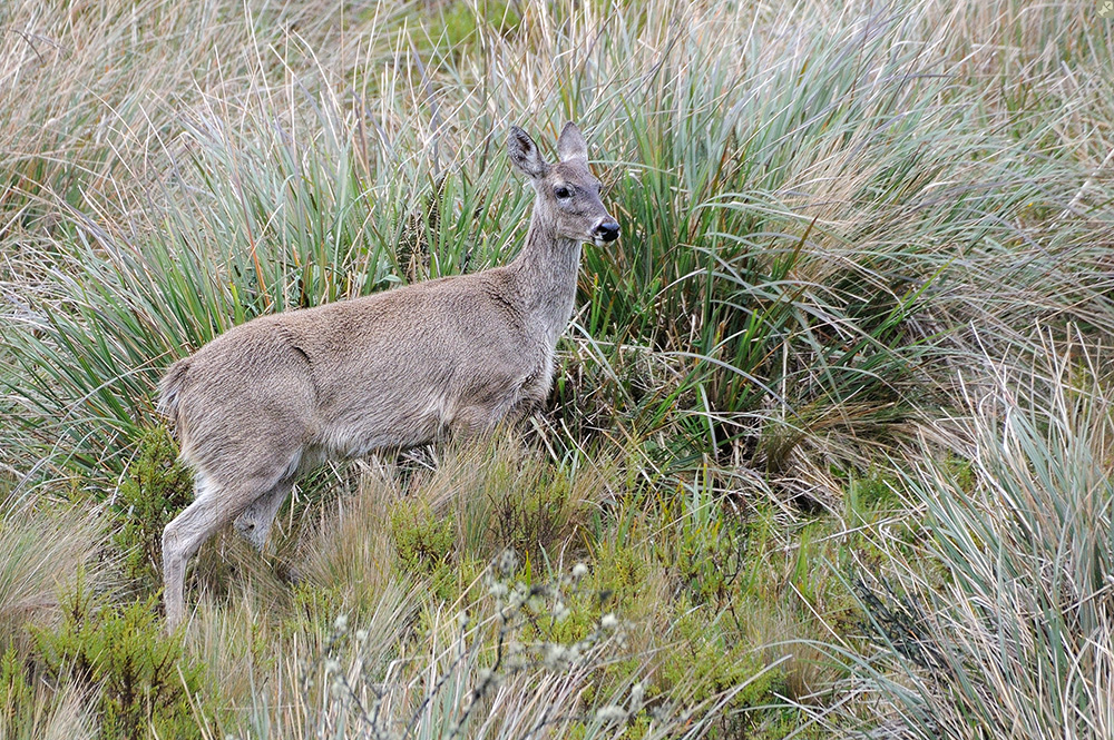 Fotografenfreundlich