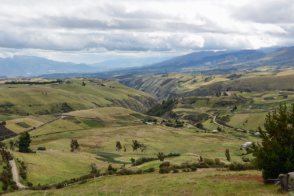 Gerade noch zivilisiert