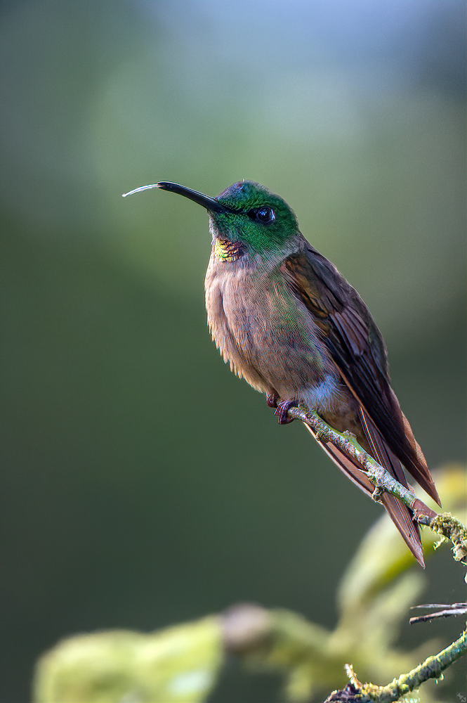 Noch nicht ganz wach