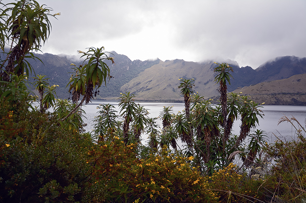 Nur mit Allradantrieb!